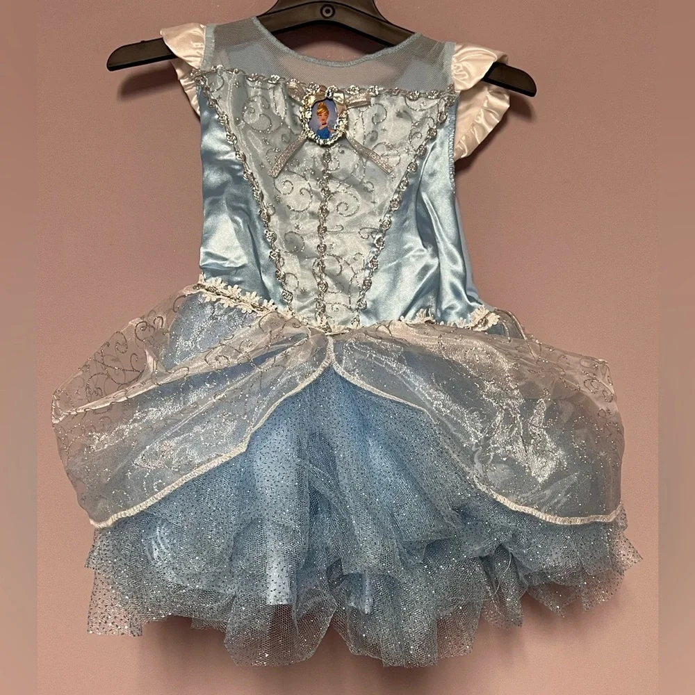 NwT 2 BUNDLE Costumes DISNEY Cinderella Hedgehog BABY Girl 6-12 mo